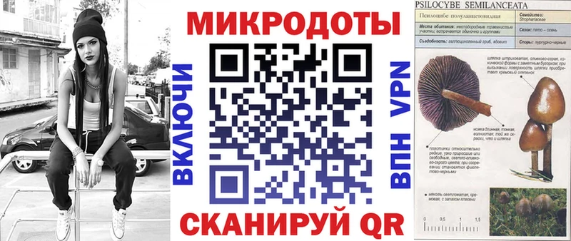 Галлюциногенные грибы Psilocybine cubensis  Чулым 